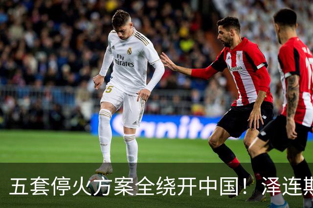 五套停火方案全绕开中国！泽连斯基宁提印度埃及，也不提12点