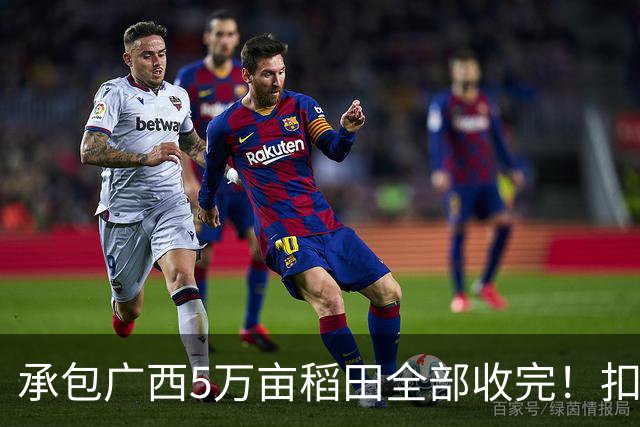 承包广西5万亩稻田全部收完！扣完成本，最终得到的利益是多少呢